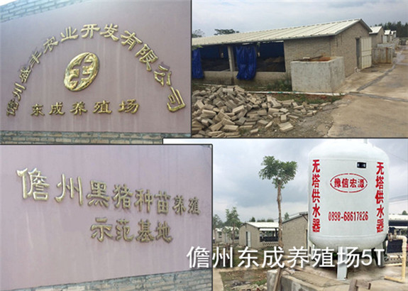 儋州東成養殖場 5TX1