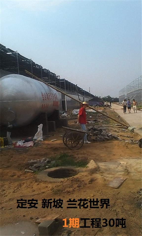 定安新坡蘭花世界1期工程30噸1