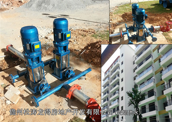 儋州市松濤龍得房地產開發有限公司（變頻供水器）