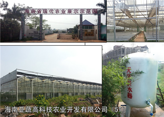 海南亞蔬高科技農(nóng)業(yè)開發(fā)有限公司5TX1