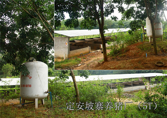 定安坡寨養豬廠（5TX1）